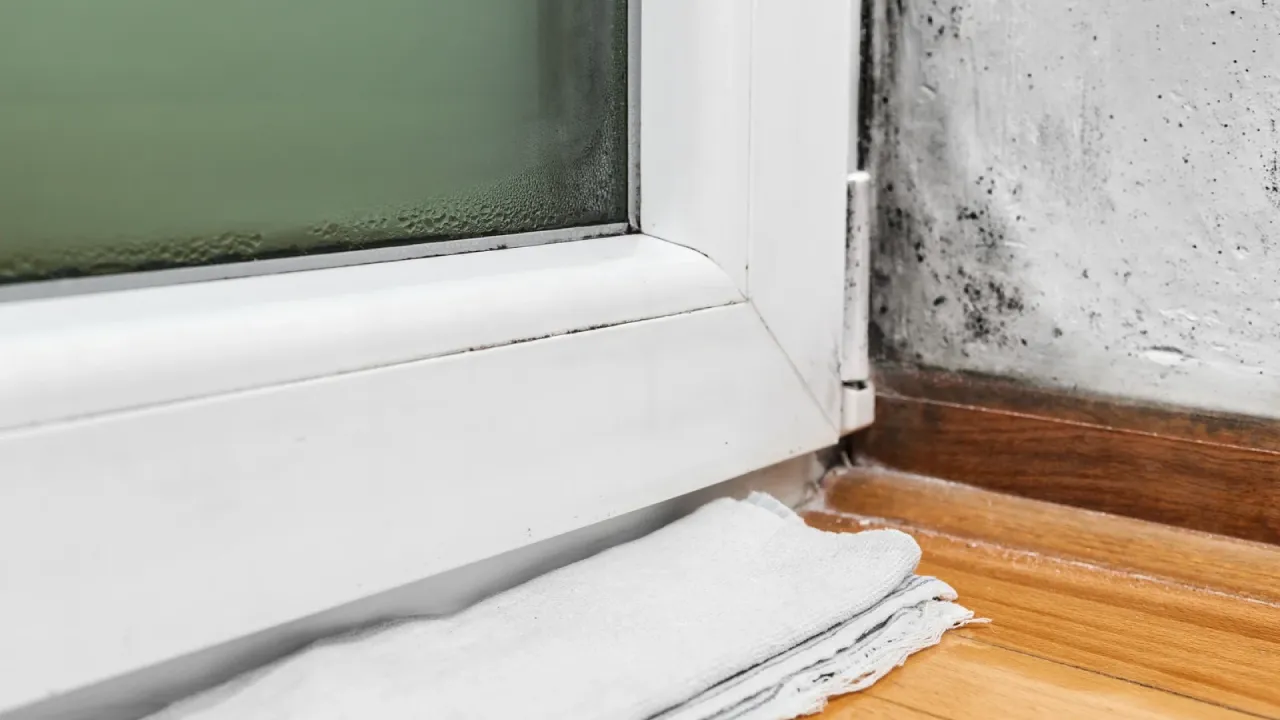 Moisture and mold -Problems in a house basement